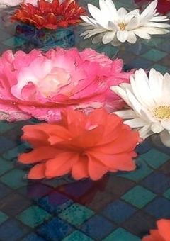 ヴァンパイア×ヴァンパイアハンターは危険なようで!?