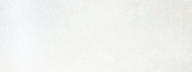 しいたけさんの壁紙画像