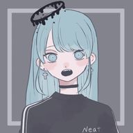 雪の夜空❄🌃さんのアイコン画像