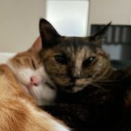 ゆっきんさんのアイコン画像