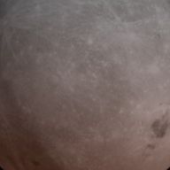 　碧海 怜李　さんのアイコン画像