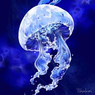 Kraken🦑🐙さんのアイコン画像