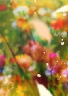 愛しい彼の君へ