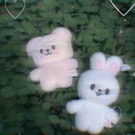 カグァンズ❤️🐰🐶さんのアイコン画像