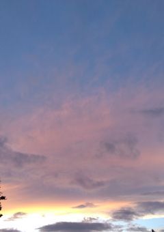 く う そ う す と ー り 。