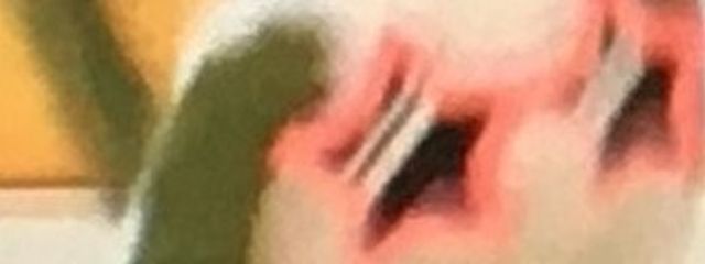 こちゃまるさんの壁紙画像