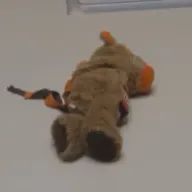 oraikaさんのアイコン画像