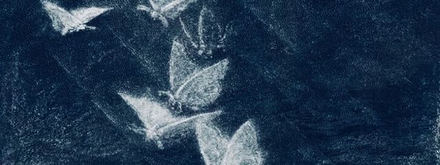 城月さんの壁紙画像