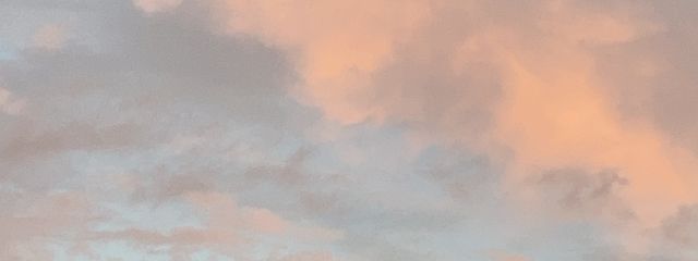 たまごさんの壁紙画像