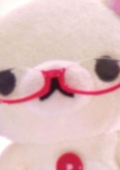 　雑談かつお話