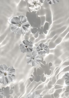 𝗘𝘃𝗲𝗻 𝘀𝗼, 𝗹𝗼𝗻𝗲𝗹𝘆