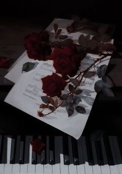 🖤たんぺんしゅ〜🖤