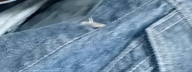 凛さんの壁紙画像