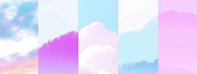 しゅがーさんの壁紙画像