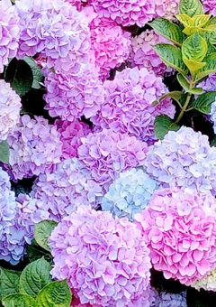 君に助けられたから