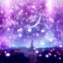 🫧 ͛.* 夜桜 🫧 ͛.*