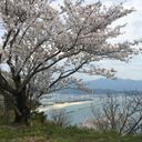 莱