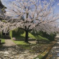 冥@🌸さんのアイコン画像