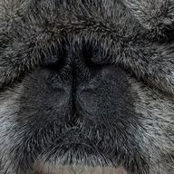 ゆうかさんのアイコン画像