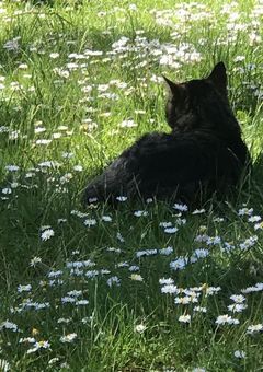 お隣さんから____に