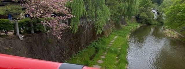 たのしいせいかつさんの壁紙画像