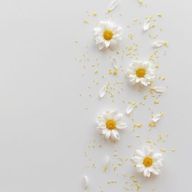 🐈‍⬛🐾さんのアイコン画像