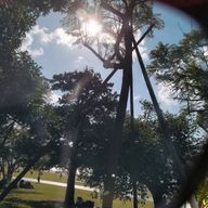 Nさんのアイコン画像