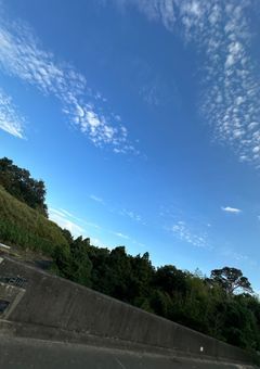 毎日『なんでやねん』日記