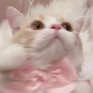 kさんのアイコン画像