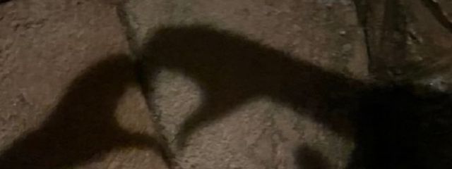 мさんの壁紙画像