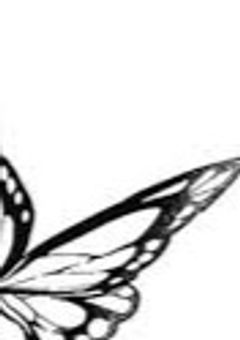 蝶は月に照らされ、消えてゆく