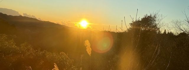 ありや☘️🫧🕊️@転生しました!@読み専垢さんの壁紙画像