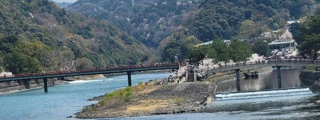 まりこさんの壁紙画像