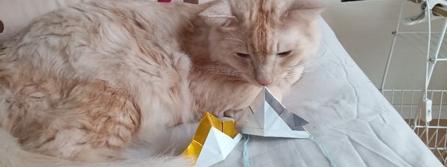 レイさんの壁紙画像