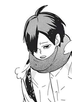 追われて追って