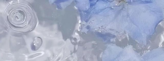 めぬさんの壁紙画像