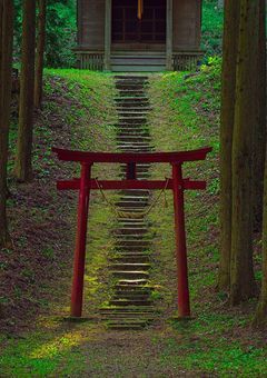 幽霊の俺とみんな