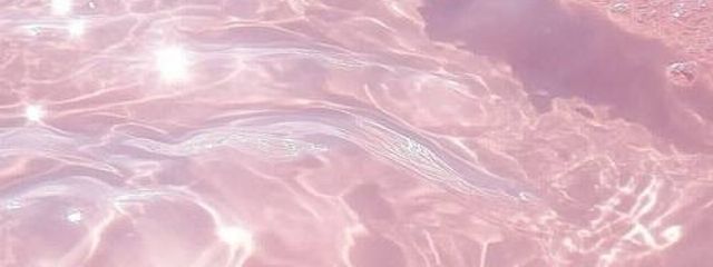 ribbon🎀💕💓💗さんの壁紙画像