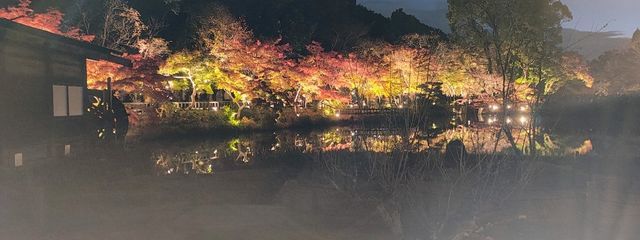 亜輝さんの壁紙画像