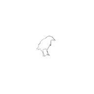 karasu丸🐦‍⬛さんのアイコン画像