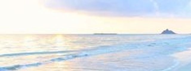 Ｔ．ミヒロさんの壁紙画像