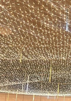 雨の降る日にうちらは。