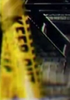 最強マフィアは奇病持ち