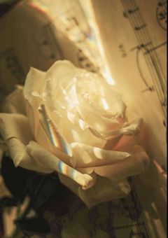 【fur】孕んでしまっただけなのに