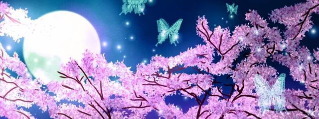 本城 英李奈 #フォロバ💯 さんの壁紙画像