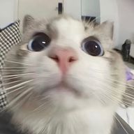 Rさんのアイコン画像