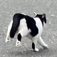 ミックスジュースとからぴちオタクさんのアイコン画像