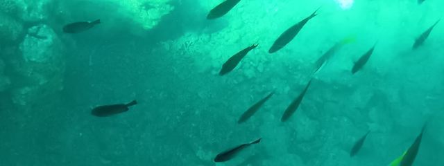 夜宮悠@プリ小説依存症です☆さんの壁紙画像