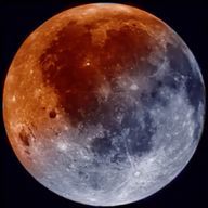 珀梛 綺葉さんのアイコン画像