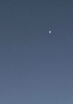 「 騙し愛してまた笑おう 」